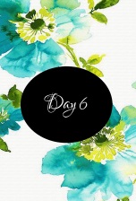day6