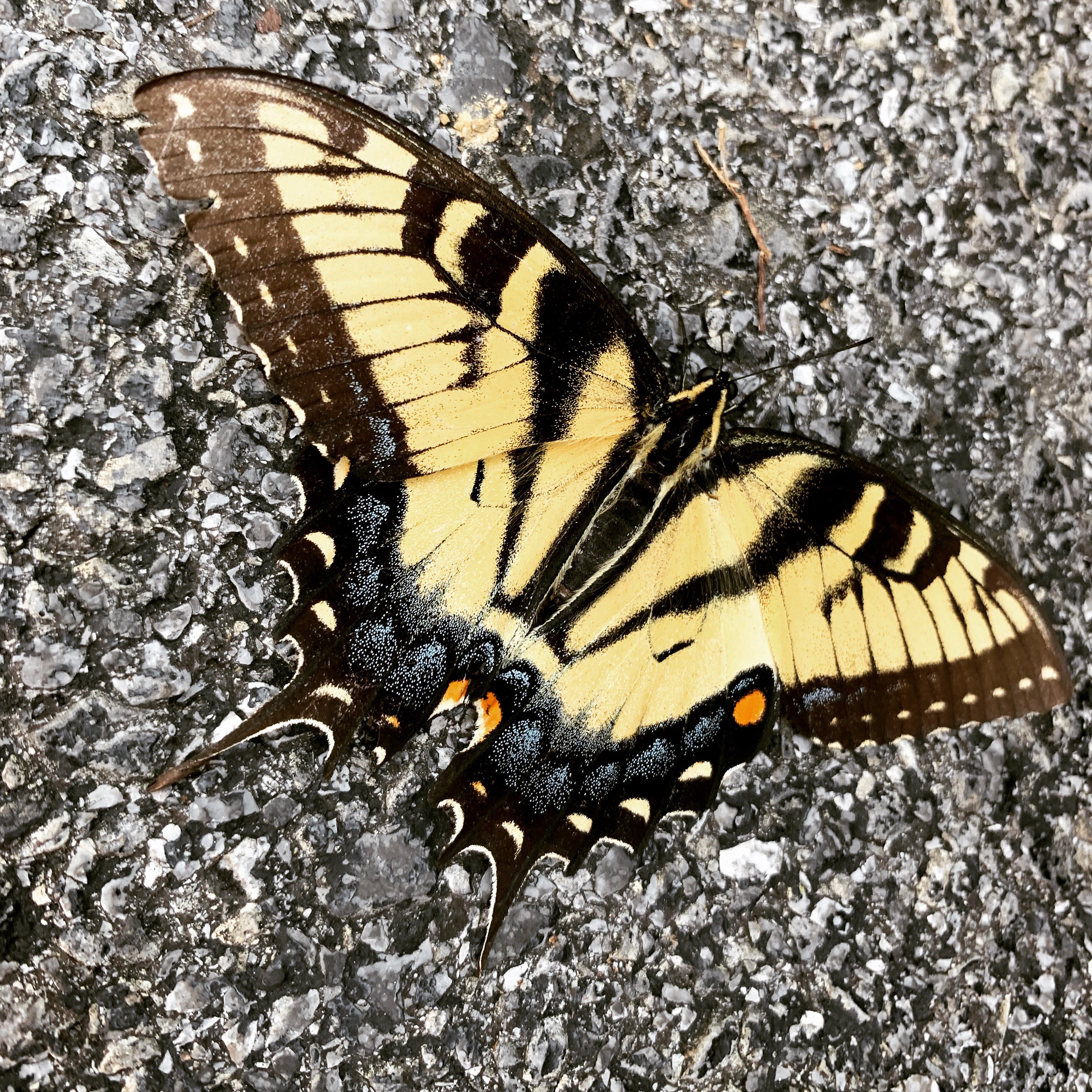 da3ef11c-5fdc-4bd2-9d7b-2113026a547f